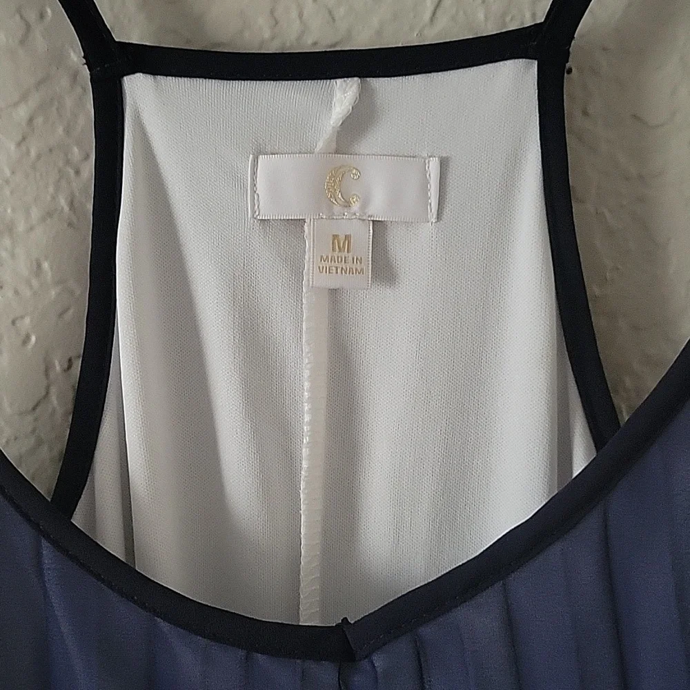 Elegant Red, White, and Blue Maxi Dress - Picture 3 of 3